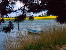 IMG00041.JPG